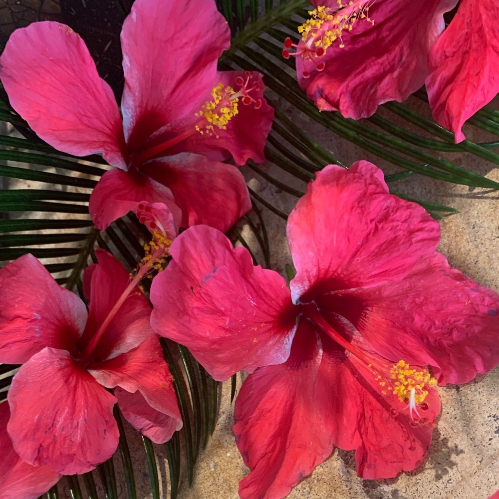 About MY Closet! Most items XS or S! 7.5, 8 shoes!